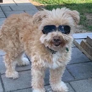 Meet your Posher, Lisa